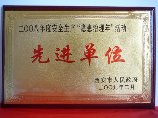 2009年2月，被西安市人民当驹炖为2008年度安全出产“隐患治理年”活动先进单元