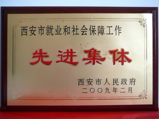 2009年2月，被西安市当驹炖为西安市就业和社会保险工作先进集体